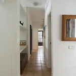 Lola - Vipvipvillas Costa Teguise